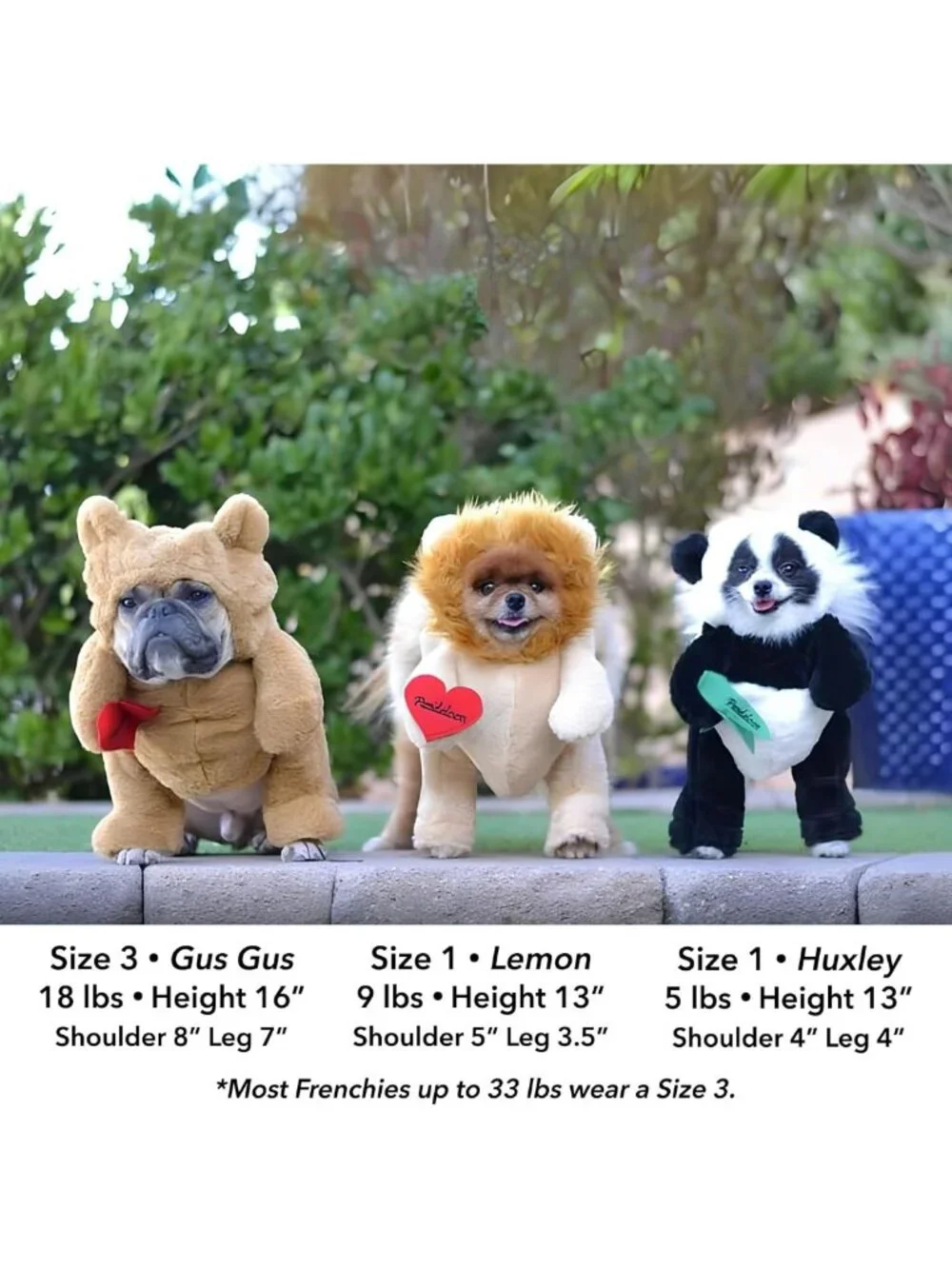 Funny Panda Dog Halloween Costume for Small & Medium Pets - Unique Design, Size